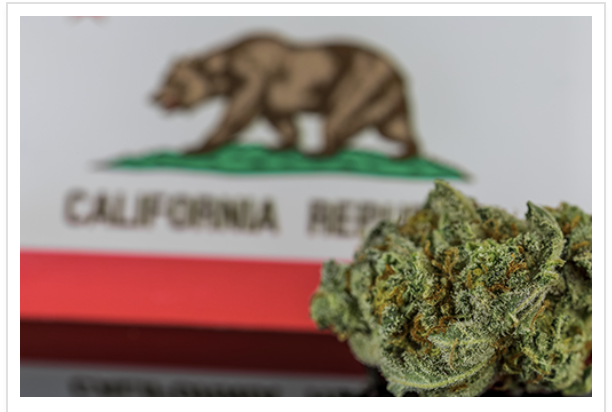 A close-up of a dried cannabis bud in front of a blurred California state flag with its grizzly bear and "California Republic" lettering, illustrating California's 2026 cannabis legislation.